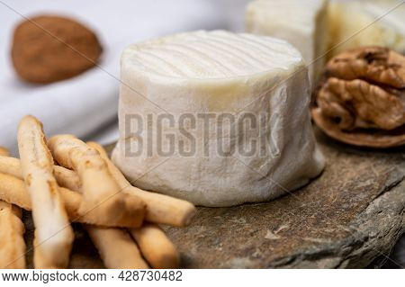 Cheese Collection, Soft Goat French Cheese With Mold Crottin De Chavignol Produced In Loire Valley