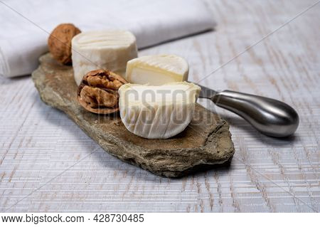 Cheese Collection, Soft Goat French Cheese With Mold Crottin De Chavignol Produced In Loire Valley