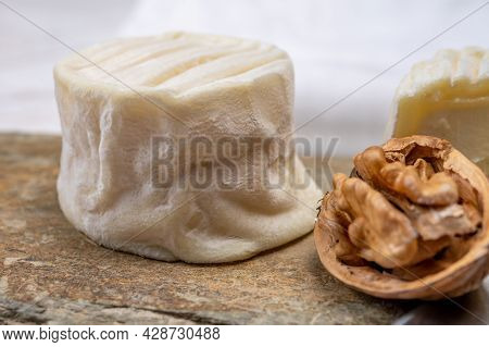 Cheese Collection, Soft Goat French Cheese With Mold Crottin De Chavignol Produced In Loire Valley