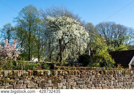 City View On Old Medieval Houses In Small Historical Town Veere In Netherlands, Province Zeeland
