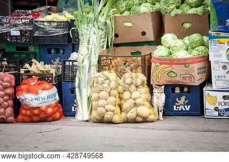 Belgrade, Serbia - May 1, 2021: Stray Cat Sneaking Among Food For Sale On A Stand Of A Pijaca A Gree