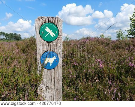 Kalmthout, Belgium, August 2021: Close-up Of Hiking Pole With Path Symbols In Nature Park Kalmthout 