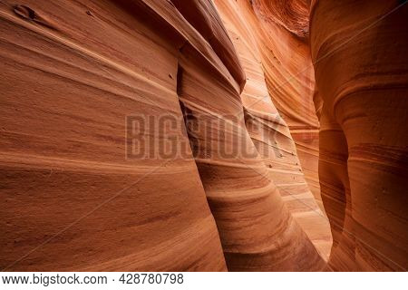 Slot canyon in Grand Staircase Escalante National park, Utah, USA. Unusual colorful sandstone formations in deserts of Utah are popular destination for hikers.