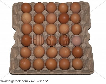 Raw Chicken Egg In Various Shades Of Brown And Beige On A Cardboard Backing.