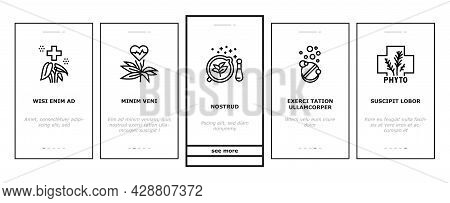 Phytotherapy Treat Onboarding Mobile App Page Screen Vector. Phytotherapy Medicaments From Flowers A