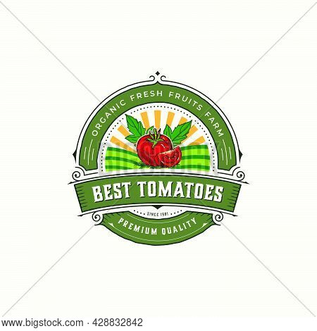 Vintage Style Badge Tomato Farm Vector. Hand Drawn Or Sketching Minimalism Style Vector Illustration