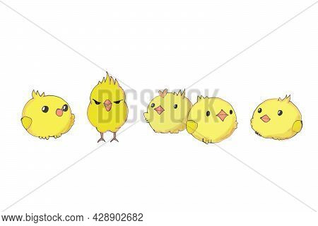 Chicken​ Cartoon Five​ Yellow​ Color​ On​ White​ Background