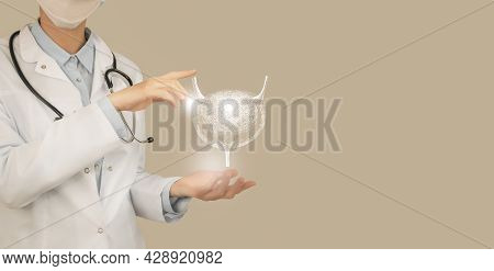 Female Doctor Holding Virtual Bladder And Kidneys In Hand. Handrawn Human Organ, Copy Space On Right