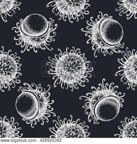 Seamless Pattern With Hand Drawn Chalk Rambutan Stock Illustration
