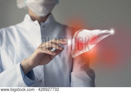 Female Doctor Touches Virtual Liver In Hand. Blurred Photo, Handrawn Human Organ, Highlighted Red As