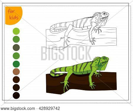 Coloring Book For Children By Colors, A Green Iguana Is Sitting On A Log. Vector Isolated On A White