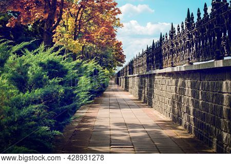 Path Through Autumn Park With Bright Yellow And Red Foliage Of Trees, Green Tuya And Forged Fence