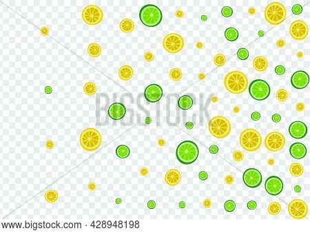 Yellow Fruit Background Transparent Vector. Art Pattern. Sunny Citrus Slice. Vegetable Lime Grass Il