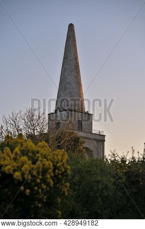 Beautiful Closeup Evening View Of Killiney Obelisk And Wild Yellow Gorse (ulex) Flowers Growing Ever
