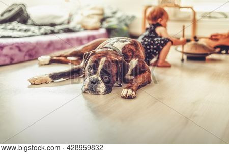Bulldog And Children Play On Hangdrum In Background.