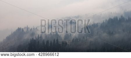 Trees On The Side Of A Mountain In A Valley Covered By Smoke From Forest Wildfire. Nature Disaster. 