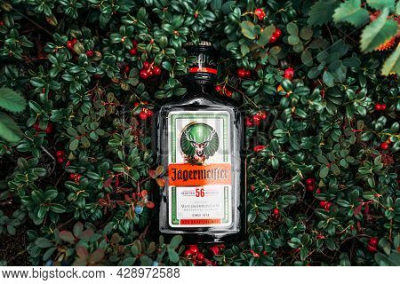 Chelyabinsk, Russia - July 30, 2021: A Bottle Of Jagermeister On The Lingonberry Bushes. Bottle Of J