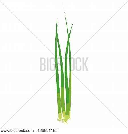 Green Onion, Natural Healthy Organic Nutrition Product, Scalion. Vector Doodle Cartoon Flat Trendy I