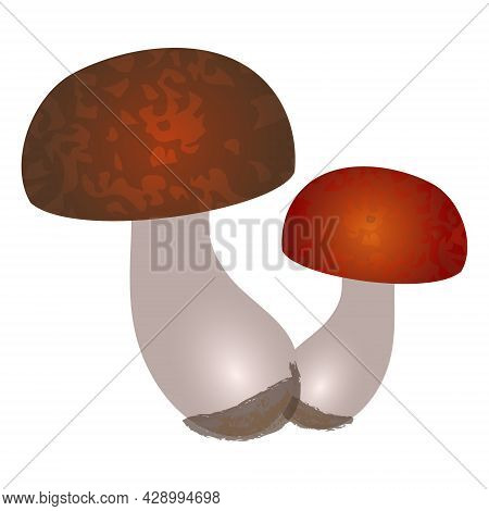 Flat Art Mushrooms With Round Spotted Brown And Red Caps And White Leg With Black Soil On Its End Is
