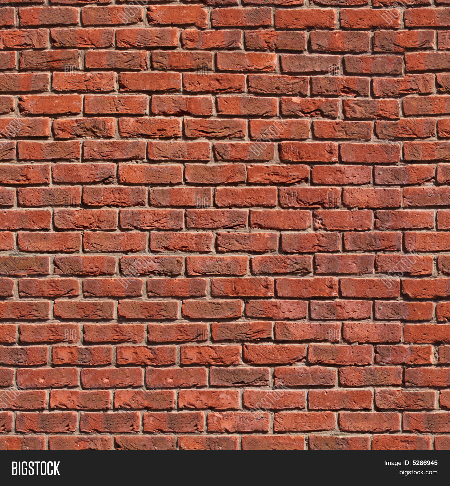 Seamless Tile Pattern Image Photo (Free Trial) Bigstock