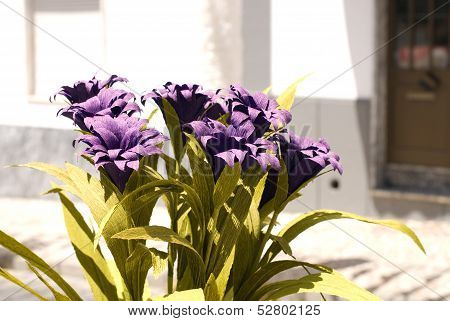 The Flowers From Paper