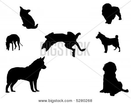 Silhuetter af hunde