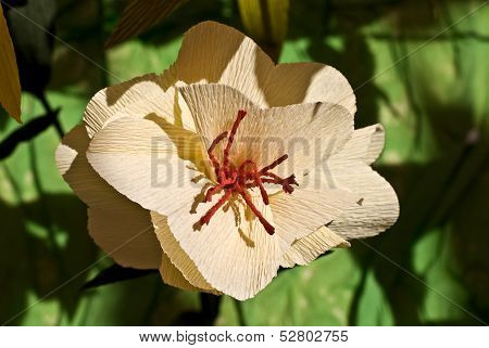 The Flowers From Paper