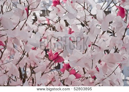 The Flowers From Paper