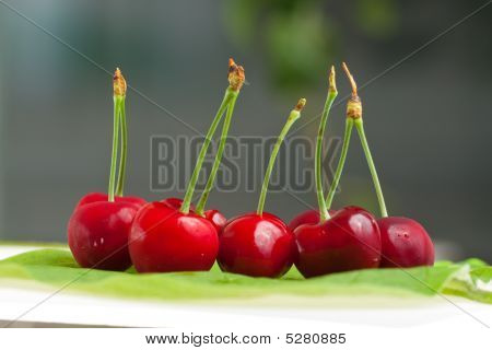 Sweet Cherry