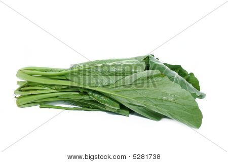 Somma Choy