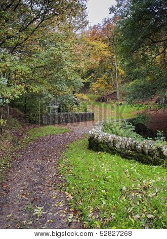 dry stone wall in autumn woodland