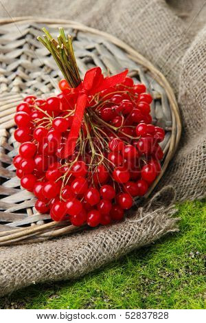 Red berries of viburnum on sackcloth,  green grass background