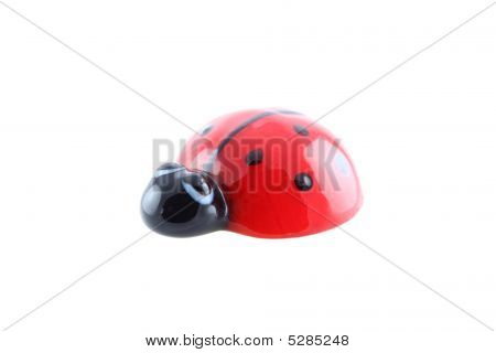 Coccinelle