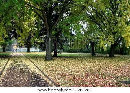 Fall kävelymatkan