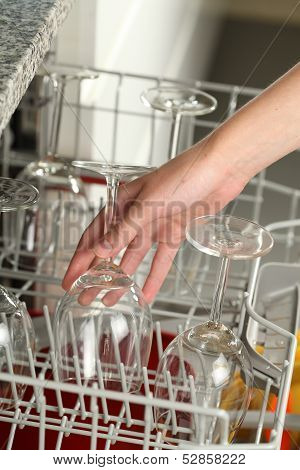 Cleaning After Party