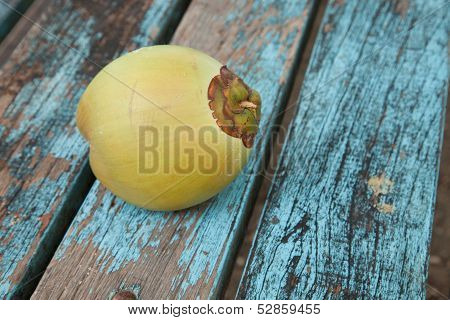 Coconut
