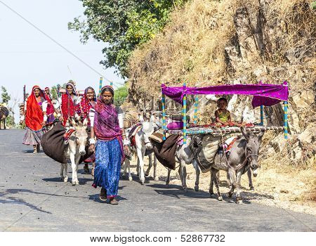 A Rajasthani Tribal Family Moves To The Next Living Ground