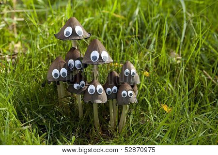 Coprinus Atramentarius