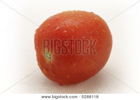 Tomato
