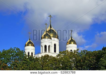 Dome Of The Cathedral Of Christ The Savior. Kaliningrad, Russia