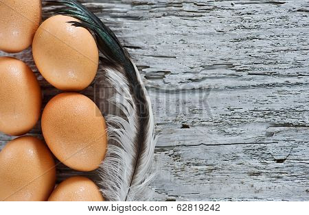 Eggs And Feather On The Old Wood