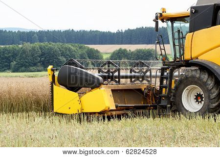 Combine Harvesting Rape