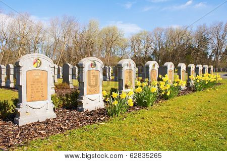 Cemetery Belgian Soldiers World War One
