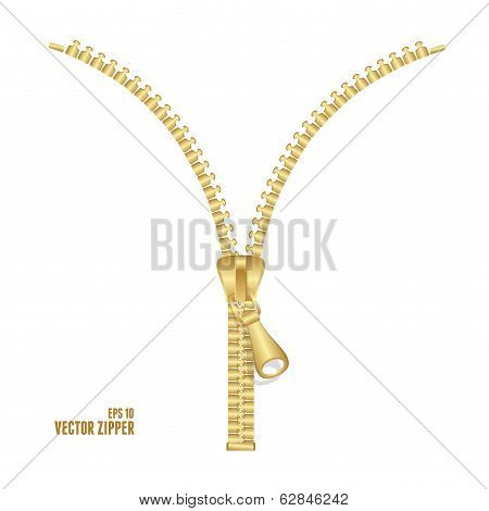 Vector realistic golden zipper illustration