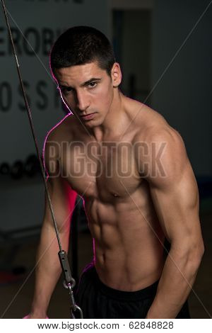 Triceps Workout
