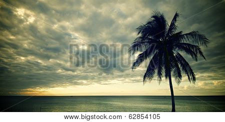 sunset at the beach tropical Maria la Gorda, Guanahacabibes Peninsula in Cuba