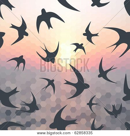 Hexagon Background And Swallow Silhouette
