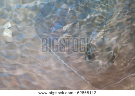 Sting Ray
