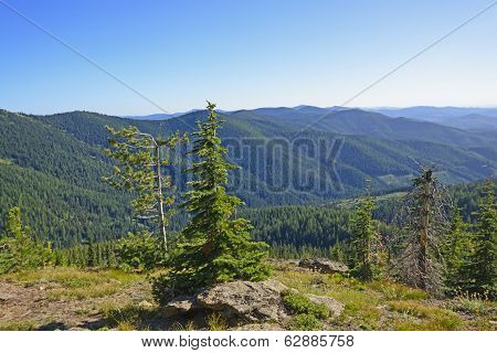 Remote Vista In The Wilderness