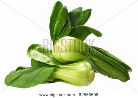 Baby Bokchoi